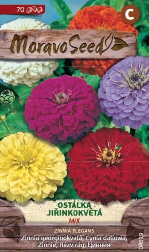 Cínia MS zmes 0,9g/ 70s.