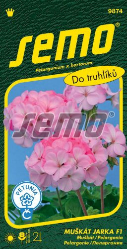 Muškát zonale SM Jarka F1 sv.červený 11s. 9874