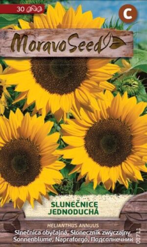 Slnečnica MS Obyčajná žltá 1g/ 30s.