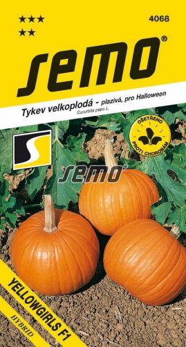 Tekvica okras. SM27 Yellowgirls F1 DEKORÁCIA na Halloween aj varenie 3g 9198