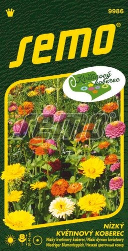 Zmes Lúční třpyt SM KVETINOVÝ KOBEREC nízky, letničky v.20-40cm, 6 g