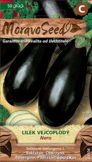 Baklažán MS Nero 50s.