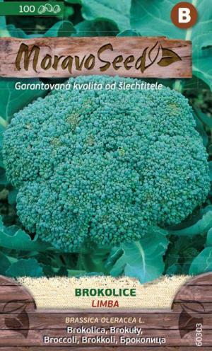 Brokolica MS Limba 100 semien