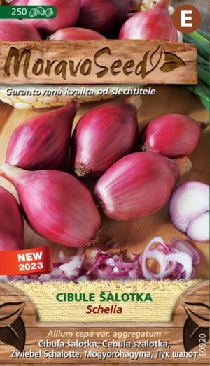 Cibuľa jarná MS Schelia - šalotka, červená 1,3g/ 250s.