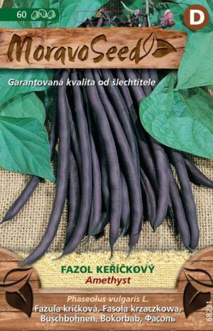 Fazuľa kríčková fialová MS Amethyst 20g/ 60s.