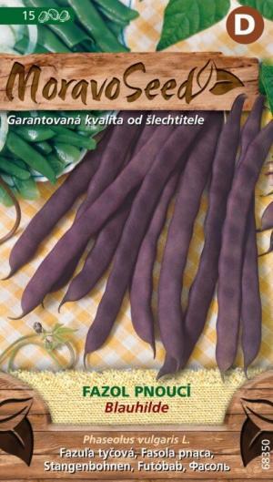 Fazuľa tyčková fialová MS Blauhilde 15g/ 15s.