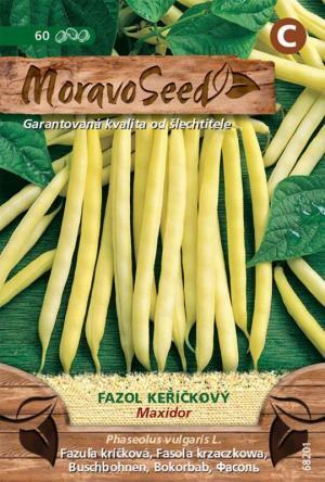 Fazuľa kríč.žltá MS Maxidor 20g/ 60s.