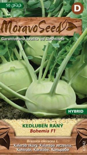 Kaleráb biely sk. MS Bohemia F1 50s.