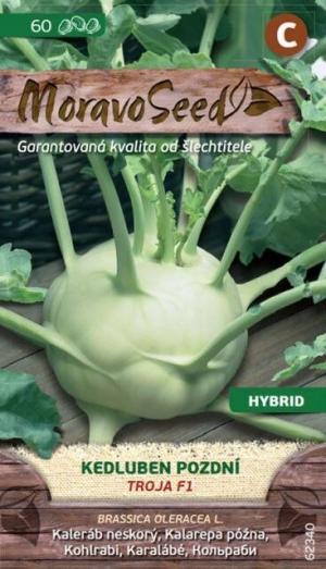 Kaleráb biely sk. MS Troja F1 50 s.