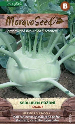 Kaleráb MS Gigant  - biely, neskorý 250s.