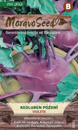 Kaleráb modrý nesk. MS Violeta 250s.