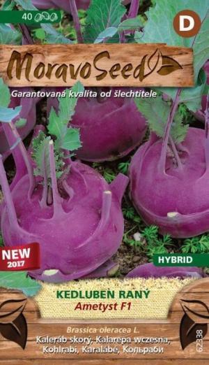 Kaleráb modrý sk. MS Ametyst F1, 40s.