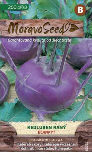 Kaleráb modrý sk. MS Blankyt 250s.