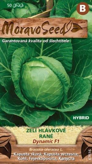 Kapusta skorá MS Dynamic F1  50s.