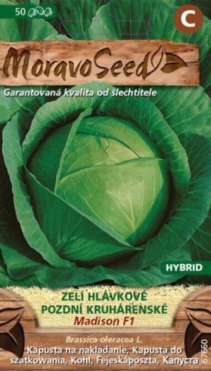 Kapusta neskorá MS Madison F1-  kruhárenská, 50s.