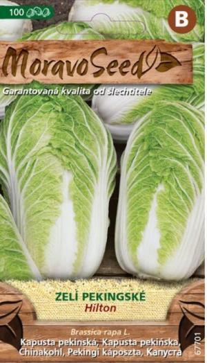 Kapusta pekin. MS Hilton, 100s.