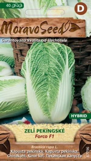 Kapusta pekin. MS Forco F1   40s.