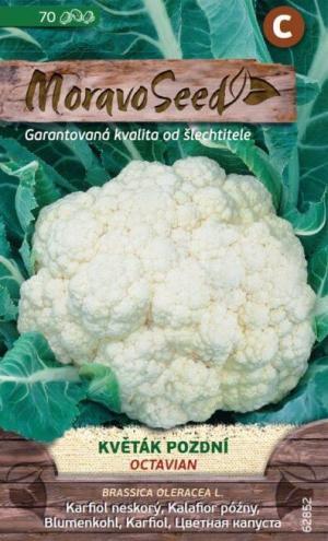 Karfiol neskorý MS Octavian 70s.