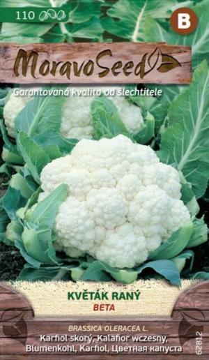 Karfiol jarný MS  Beta 110 s.