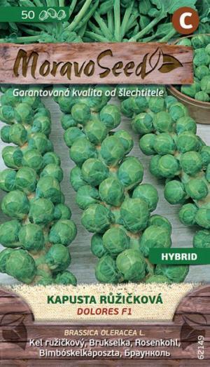 Kel ružičkový MS Dolores F1 skorý, 30s.