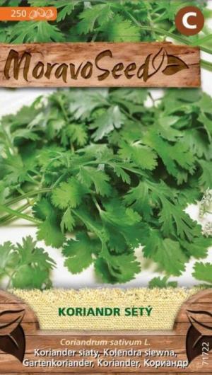 Koriander siaty MS 4g/ 250s.