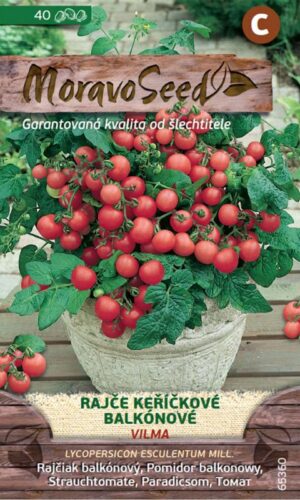 Rajčiak kríč. MS Vilma - balkónový,červený, 40 s.