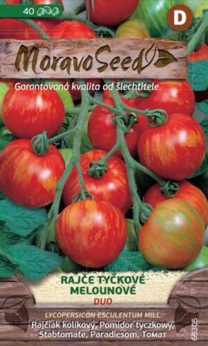 Rajčiak kol. MS Duo - melónový, žíhaný 40s.