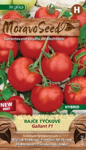 Rajčiak kol. MS Gallant F1  30s.