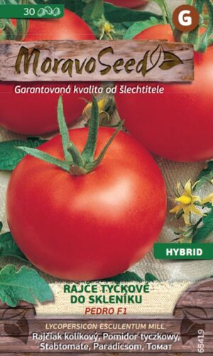 Rajčiak kol. MS Pedro F1- skleníkový 30s.