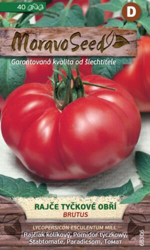 Rajčiak kol. MS Brutus - obrí 30s.