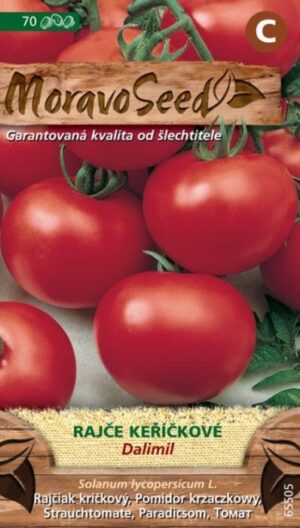 Rajčiak kríč. MS Dalimil - guľatý, polosk., poľný 70s.