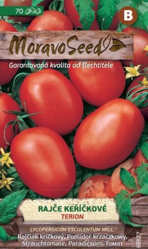 Rajčiak kríč. MS Terion - oválny, poľný, konzerv., nepraská  70s.