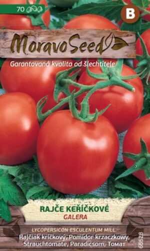 Rajčiak kríč. MS Galera - guľatý,  poľný, konzerv., nepraská 70s.