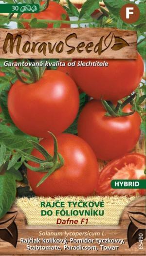 Rajčiak kolíkový Dafne F1 - skorý, do fóliiov. 30s.