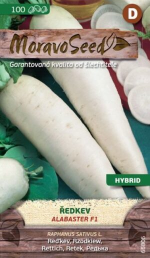 Reďkev biela MS AlabasterF1  - podlhovastá 2g/ 100s.