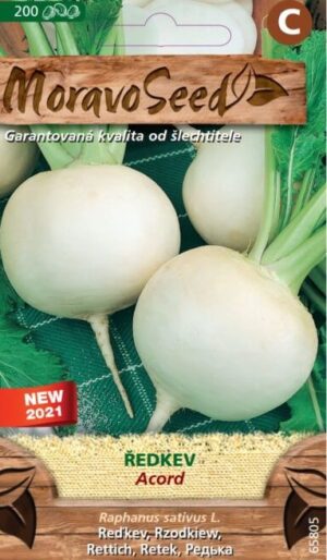 Reďkev biela MS Acord - guľatá 2,5g