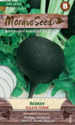 Reďkev čierna guľ. MS Kulatá černá  5g/ 240s.