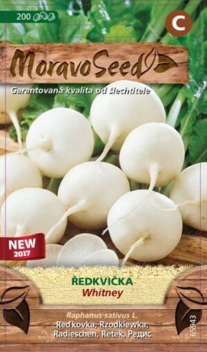 Reďkovka biela MS Whitney - guľtá 3g/ 200s.