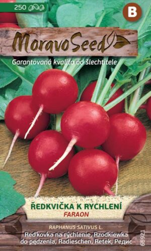 Reďkovka červ. MS Faraon - jarno-jesenná, poľná aj na rýchl., 3 g/ 250s.