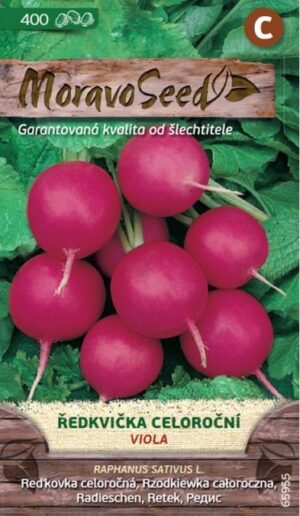 Reďkovka fialová MS Viola - guľatá 5g/ 400s.