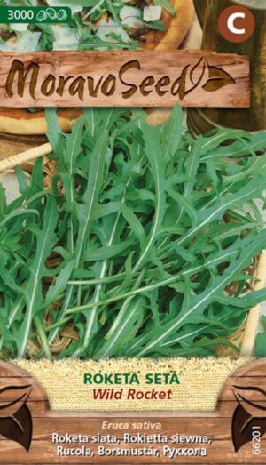 Roketa siata MS Wild Rocket (rukola) 1,2g /3000s.