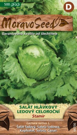 Šalát ľadový MS Stamir - celoročný 500s.