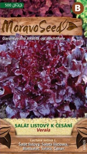 Šalát listový MS Verala - červený 500s.