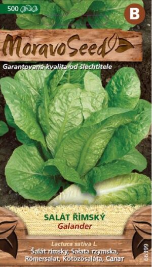 Šalát rímsky MS Galander - poľný 300s.