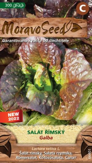 Šalát rímsky MS Galba - poľný 300s.