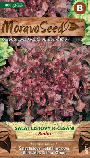 Šalát listový MS Redin - dubolistý, červený 400s.