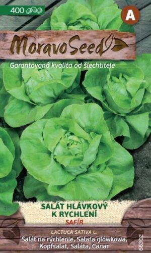 Šalát na rýchl. MS Safír 400s.