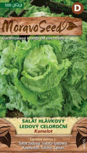 Šalát ľadový MS Kamelot celoročný 500s.