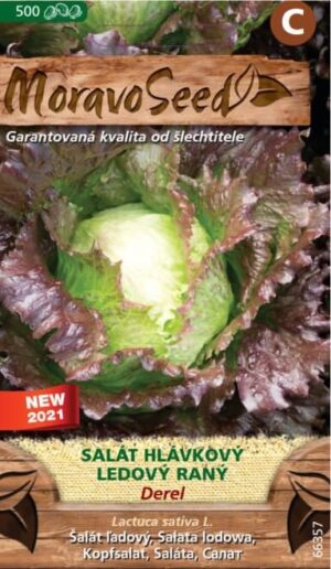 Šalát ľadový MS Derel celoročný 500s.