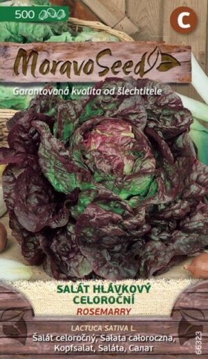 Šalát letný MS Rosemarry-  červený, celoročný 500s.